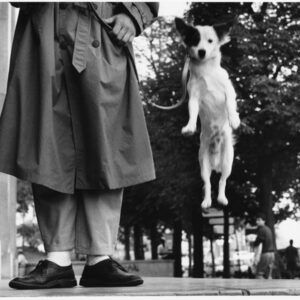 WORKSHOP: Alma animal en fotografía