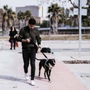 Foto de perfil de Jonathan