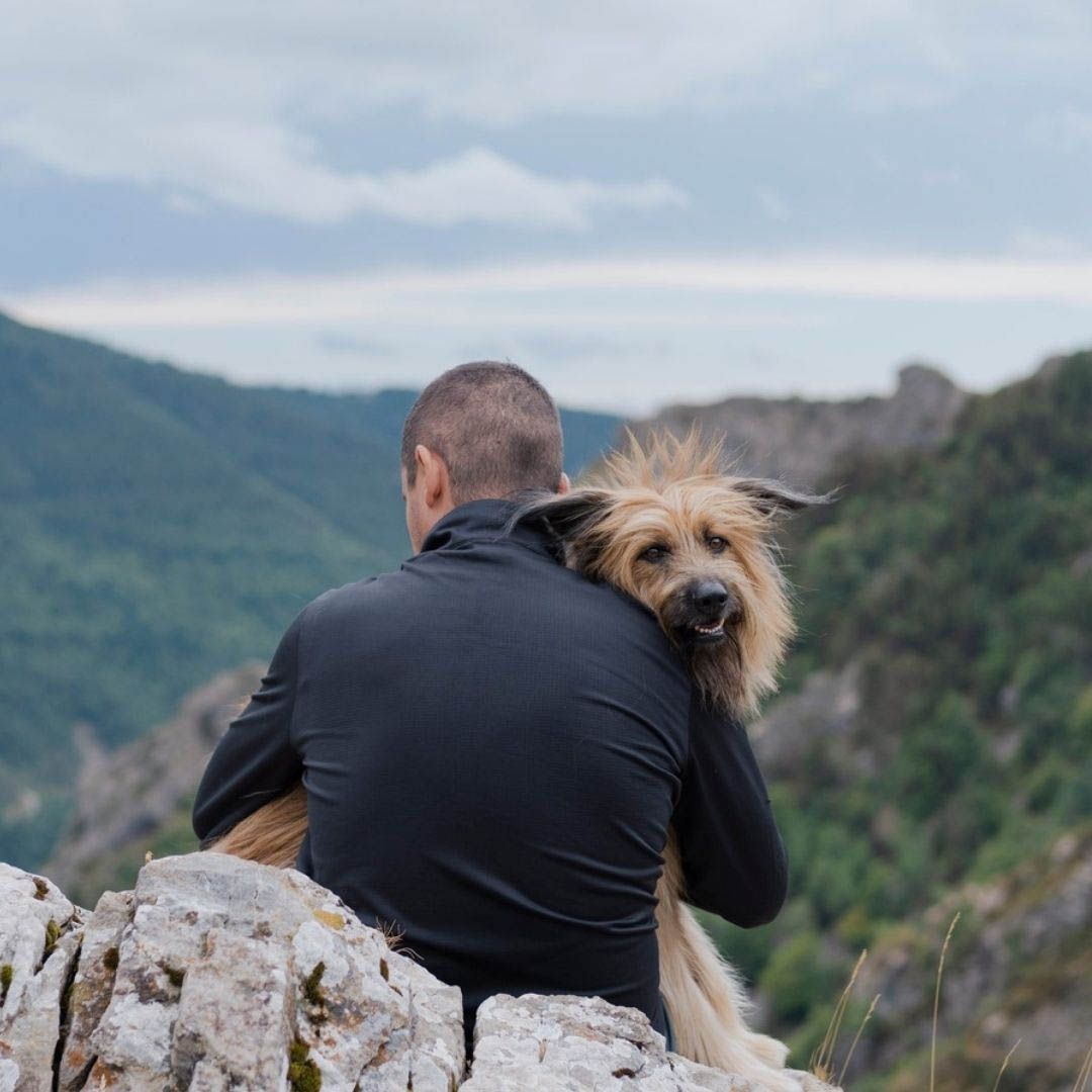 Aprende fotografia canina3