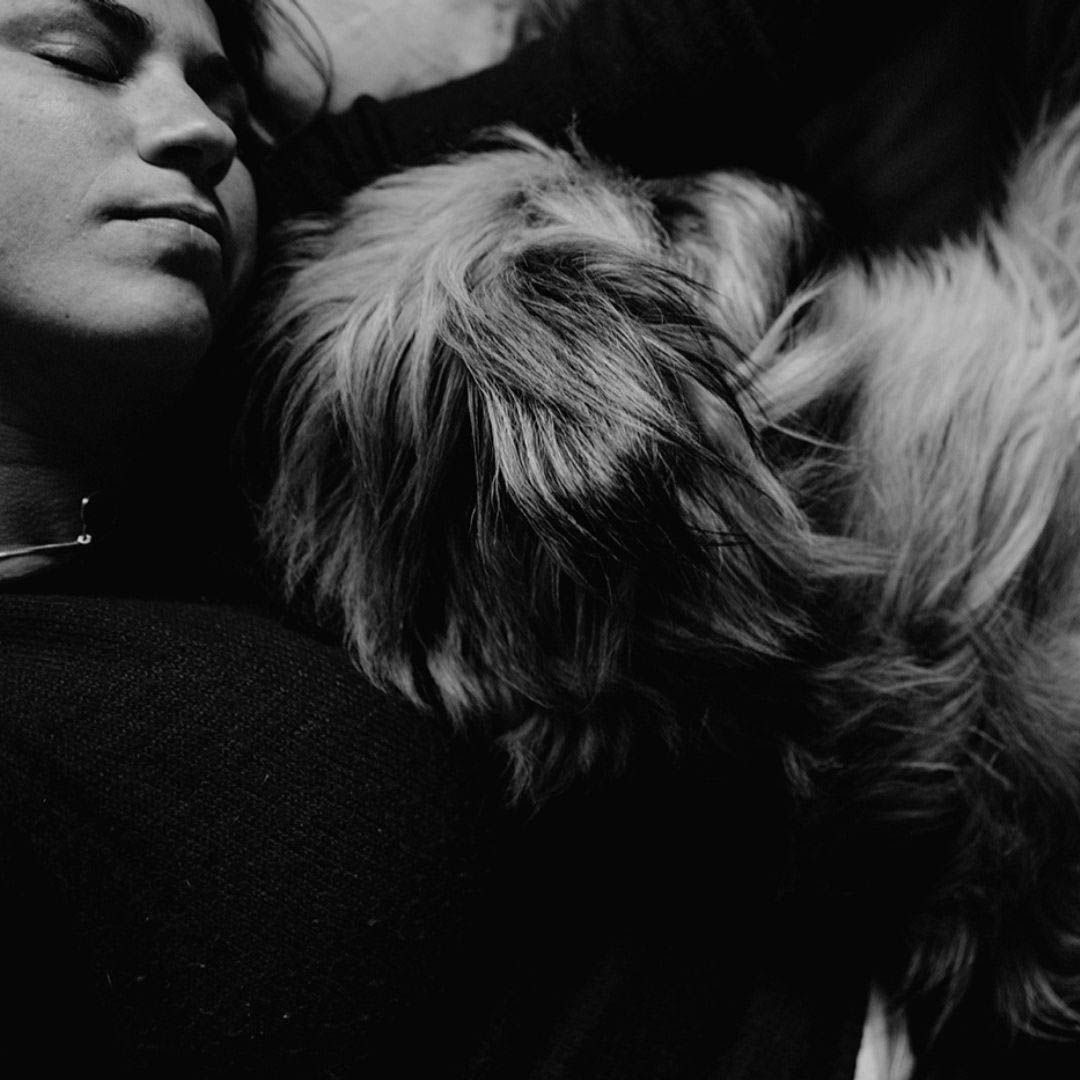 Aprende fotografia canina5