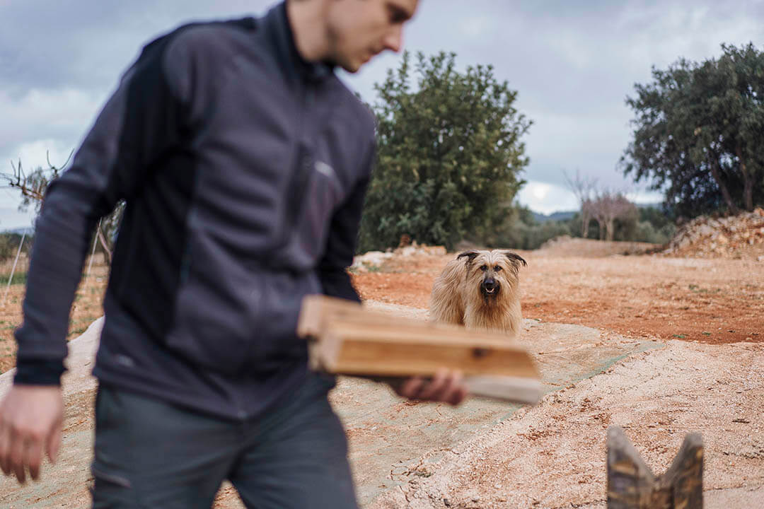 Un perro mirando a su humano mientras hacen leña