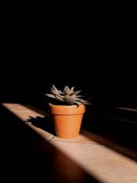 3 ideas para hacer fotos extraordinarias de tu día a día (1)