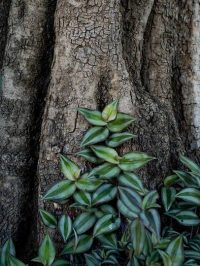 3 ideas para hacer fotos extraordinarias de tu día a día (11)