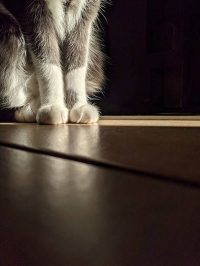 3 ideas para hacer fotos extraordinarias de tu día a día (2)