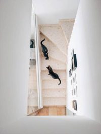 3 ideas para hacer fotos extraordinarias de tu día a día (4)