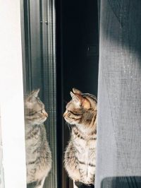 3 ideas para hacer fotos extraordinarias de tu día a día (7)